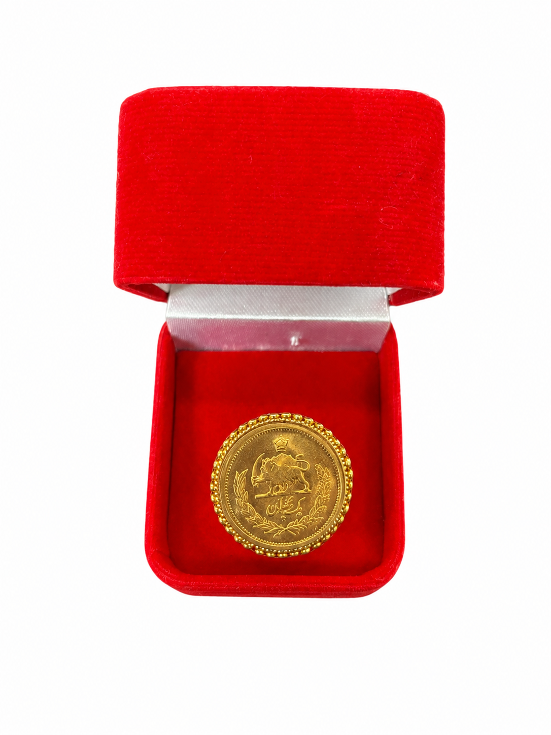 Aryan Ring